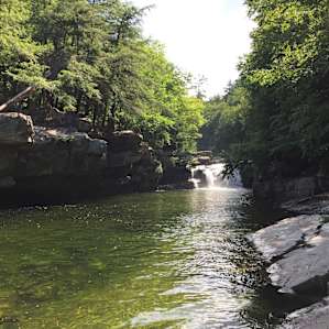 Bartlett Falls