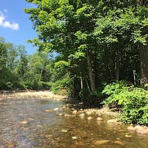 View of river and our site (you can see some of our stuff in on the right)