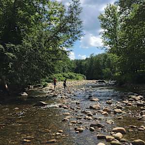 View of river by our site