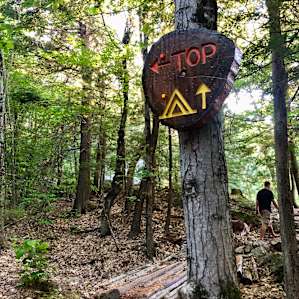 Hussey Mtn. Tree Farm (Ledgewood)