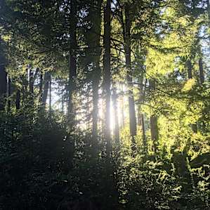 View from back of Hobbit House