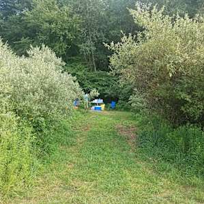 View walking into the site.