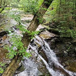 Towner's Country Paradise: Site 2