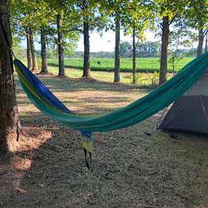 Campsite #1/#2 in the shade near the barn