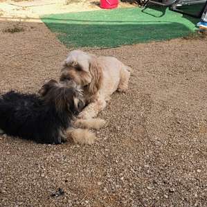 Abigail and Benny