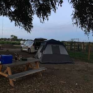 Fruit Orchard and Hemp Farming