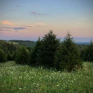 Distant View Tent or Dry RV Site