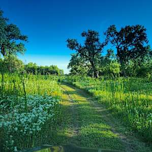Entry into camp. Gorgeous!