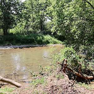 Big Pipe Creekside