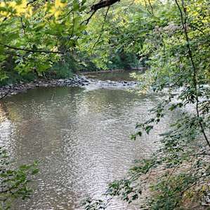 Big Pipe Creekside