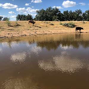 It's a Wendelful Life Ranch