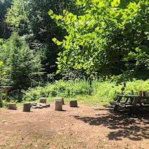 Fire pit and pic