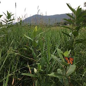 OneRiver Farm: A Mountain Retreat