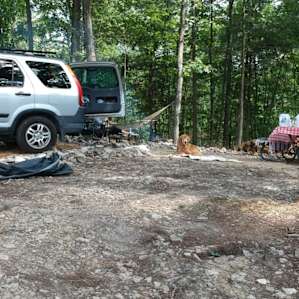 Twisted Oak Camp Site