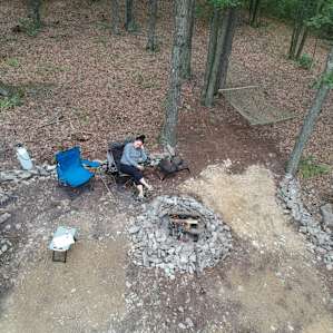 Twisted Oak Camp Site