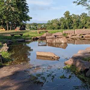 Frog Pond. Dean and Darelene let my therapy dog swim in the pond. He was thrilled!
