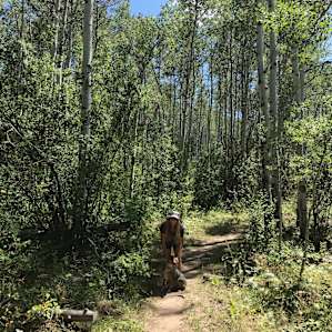 Nearby Aspen Trail