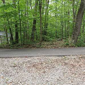 Elm Loop Rd site 67. Picture from site to elm rd. Restrooms just to left about 30 yards.