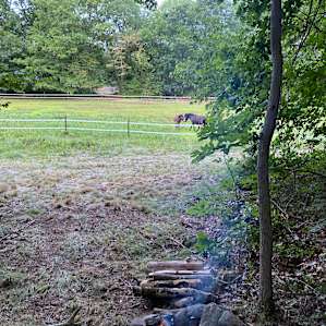 Organic Hemp Farm Retreat