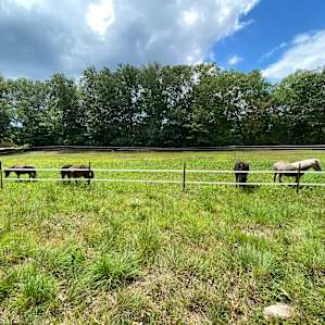 Organic Hemp Farm Retreat