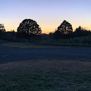 The view from our site.