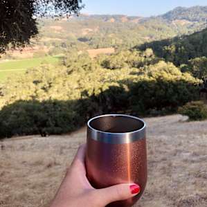 Borrowed rose camping glasses for rose wine, courtesy of our gracious host.