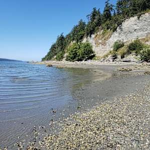 Foxglove Acres - Whidbey Island
