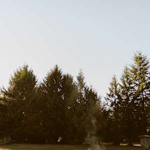 Mountain Meadow