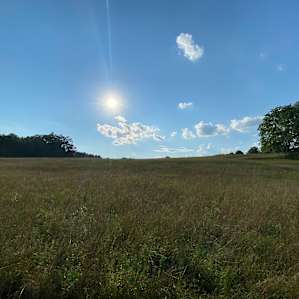 Historic Riverside Hemp Farm