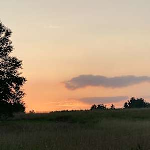 Historic Riverside Hemp Farm