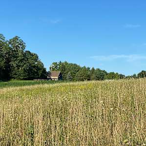 Historic Riverside Hemp Farm