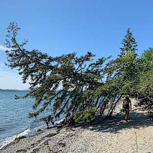 A minute walk from the a frame