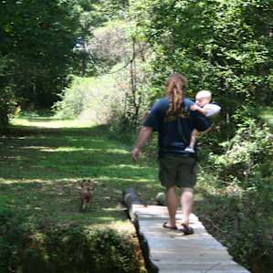 Cool lil footbridge you have to cross to get to most of the primitive sites and the creek.