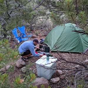 The tent site is enclosed by trees making it feel cozy and private.