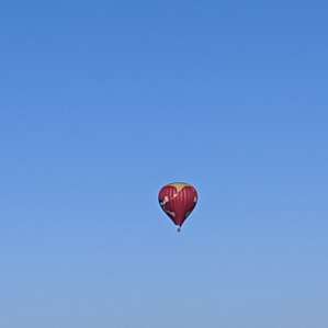 Saw these Saturday morning out our window :)