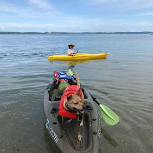 Bayside Base Camp