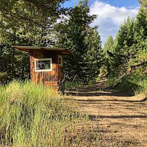 Even the bathroom was beautiful. Easily the best outhouse experience I'll ever have in my life.