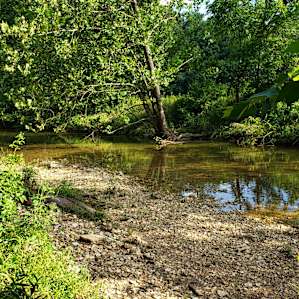 Peaceful creek a few steps away