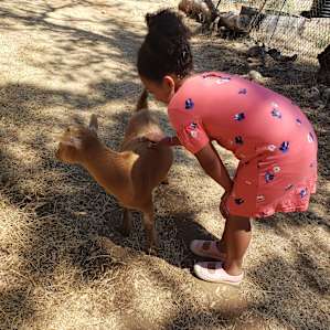 Meeting the animals on the farm was a highlight for us.