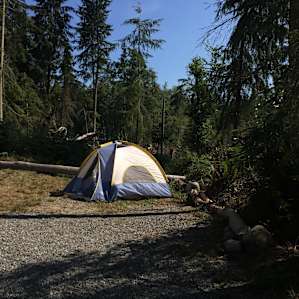 Tent could be far enough away from the fire that the embers didnt burn small holes inside.
