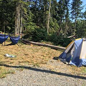 Shelly put the hammocks out for us which made stargazing and resting, and A+ activity!
