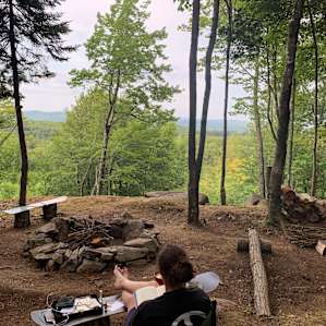 Hussey Mtn. Tree Farm (Ledgewood)