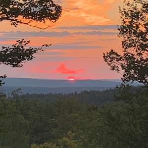Hussey Mtn. Tree Farm (Ledgewood)