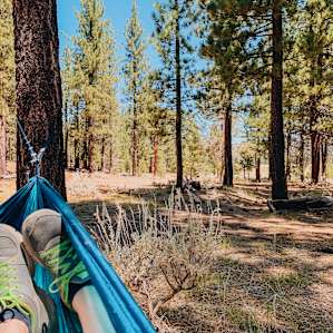Holcomb Valley Ranch Campground