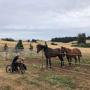 Horse Ranch near Silver Falls Park