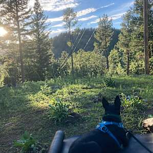 Edge of the Rez