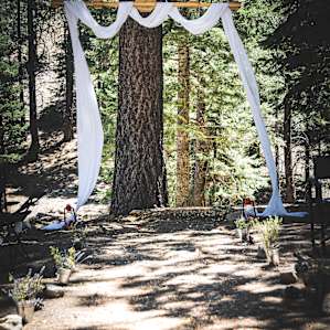 Bear Spring