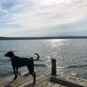 Lake in the morning