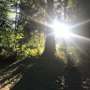 Sunset at campsite #1
