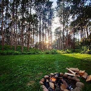 White Pine Meadow